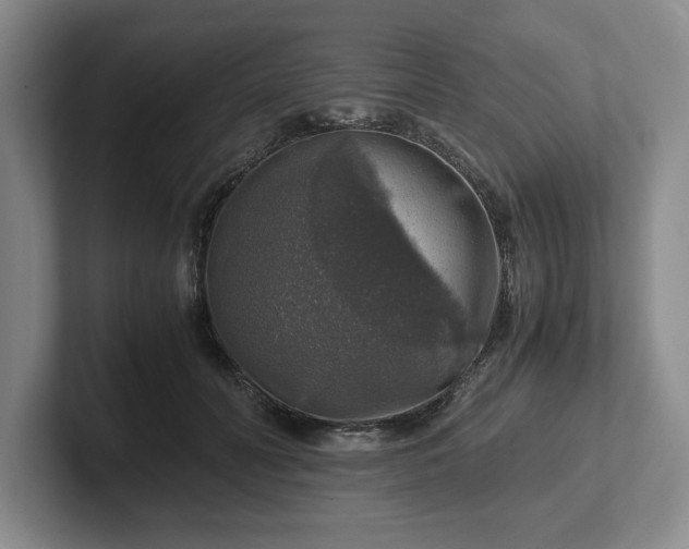 X0000102520606200808151535