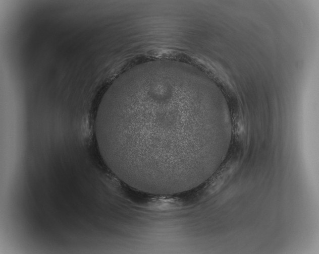 X0000102520607200808151535