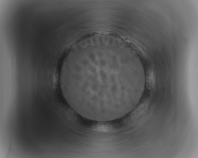 X0000102520608200808151535