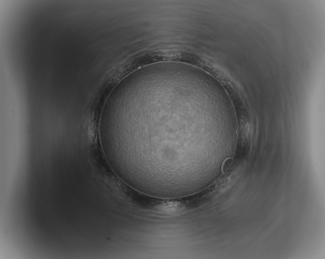 X0000102520609200808151535