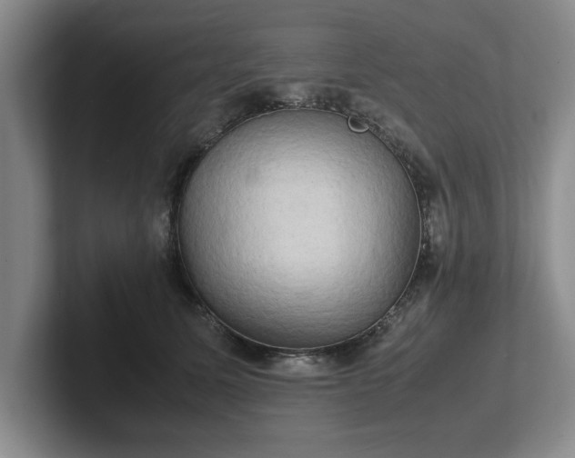 X0000102520611200808151535