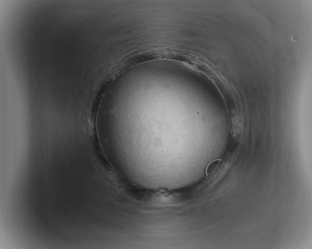 X0000102520613200808151535