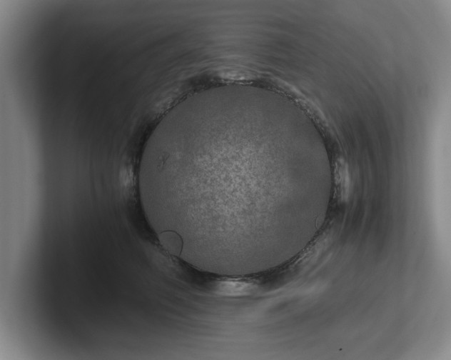 X0000102520614200808151535