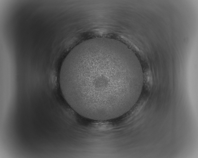 X0000102520615200808151535