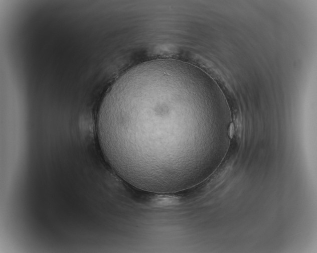 X0000102520617200808151534