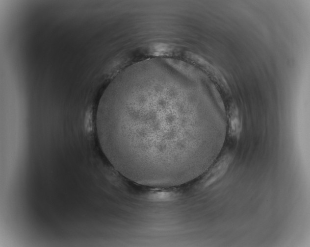 X0000102520620200808151534