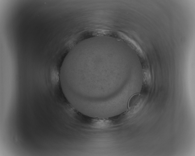 X0000102520621200808151534