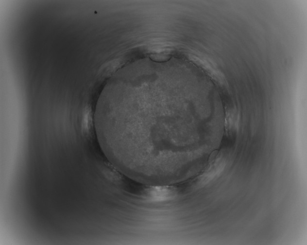 X0000102520623200808151534