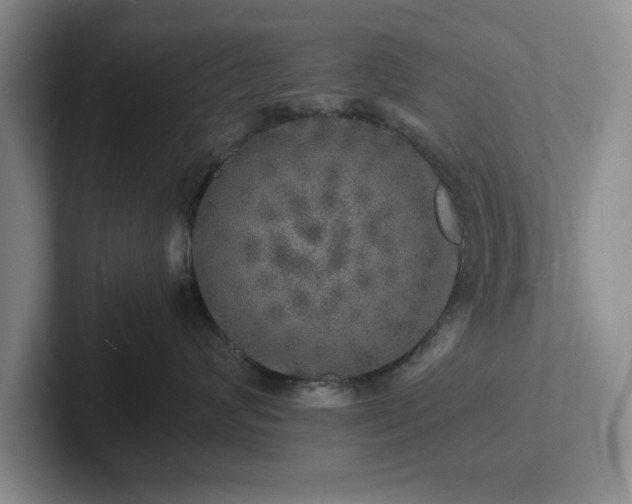 X0000102520624200808151534