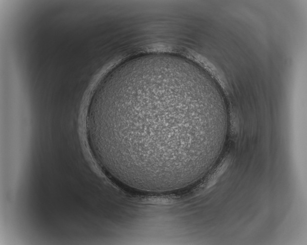 X0000102520625200808151534