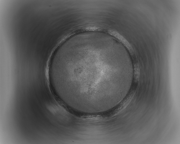 X0000102520626200808151534