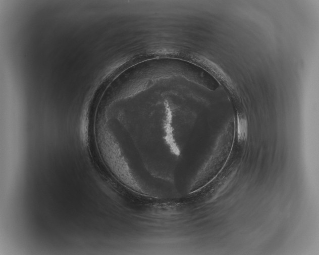 X0000102520627200808151534