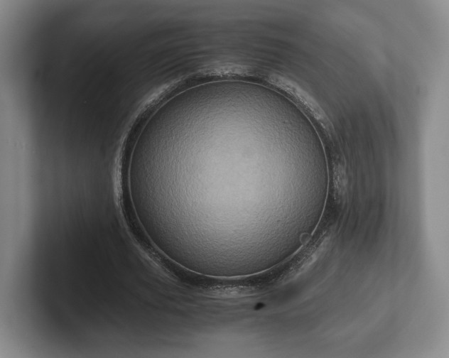 X0000102520629200808151534