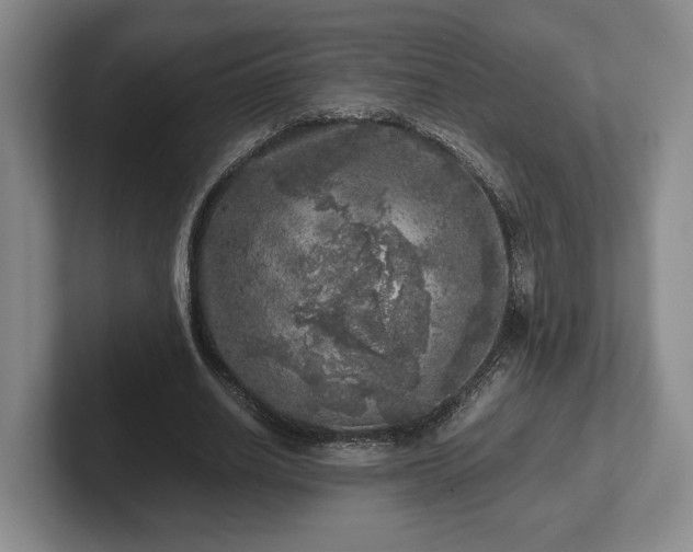 X0000102520630200808151534