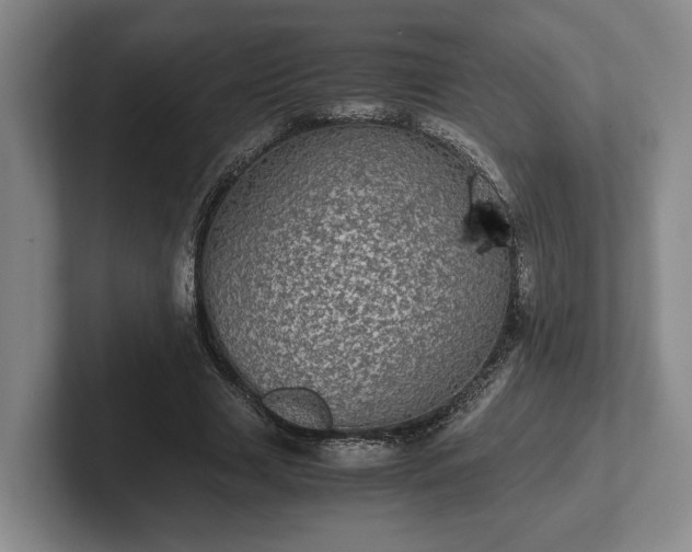 X0000102520633200808151534