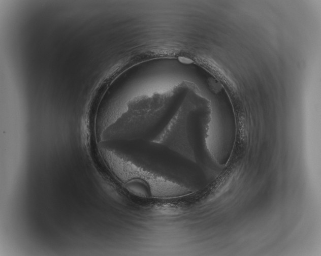 X0000102520634200808151534