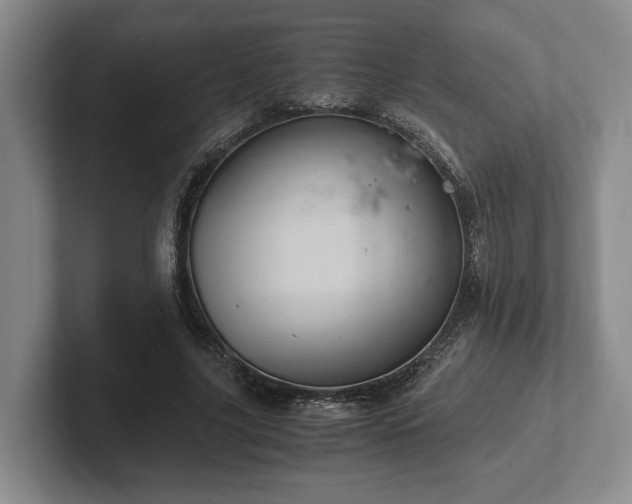 X0000102520635200808151534