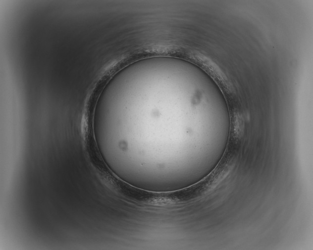 X0000102520636200808151534