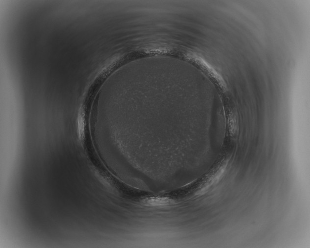 X0000102520637200808151534