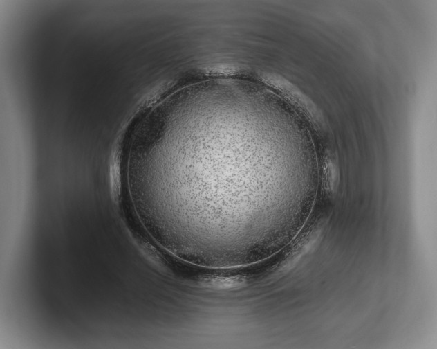 X0000102520638200808151534