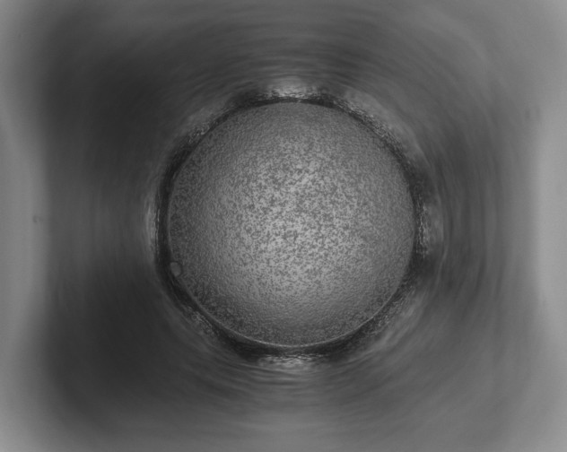 X0000102520639200808151534