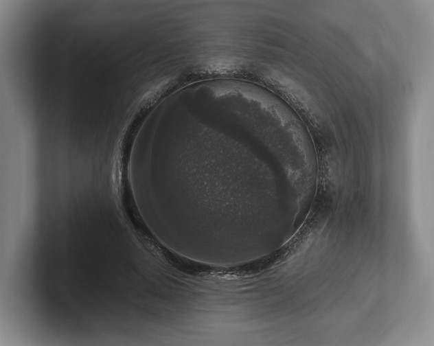 X0000102520640200808151534