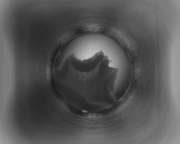 X0000102520641200808151534