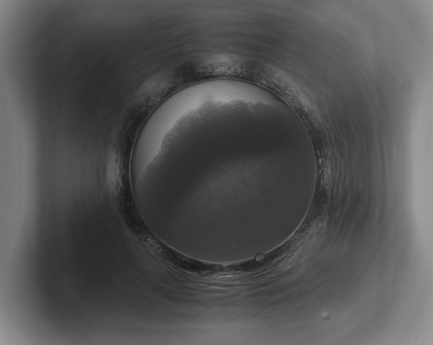 X0000102520643200808151534