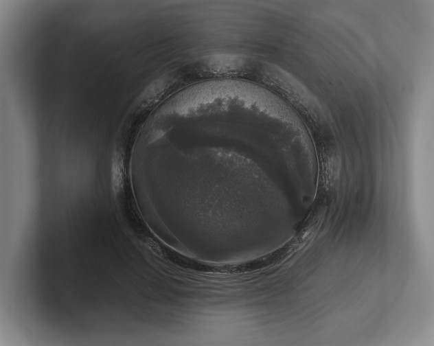 X0000102520644200808151534