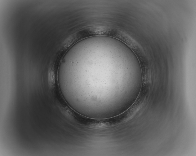 X0000102520646200808151534