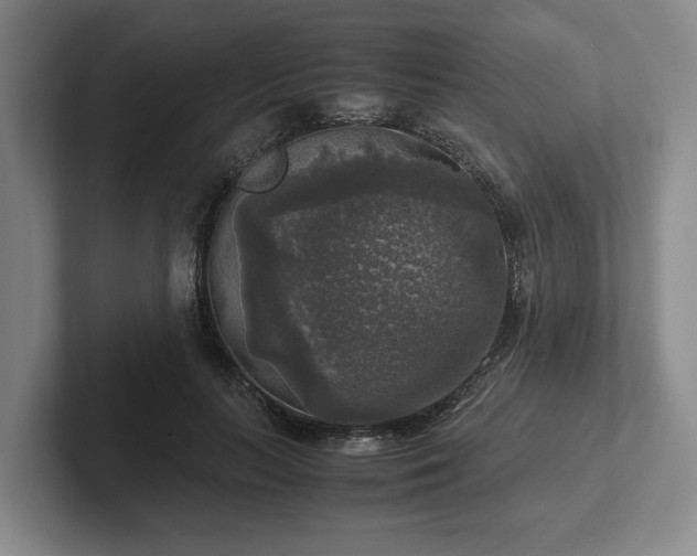 X0000102520647200808151534