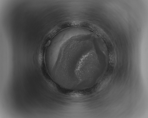 X0000102520648200808151534