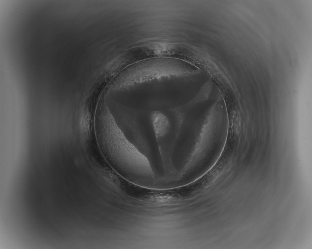 X0000102520650200808151534