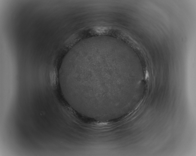 X0000102520651200808151534