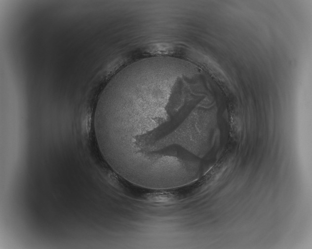 X0000102520652200808151534