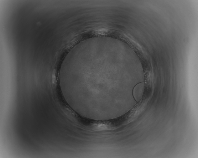 X0000102520655200808151534