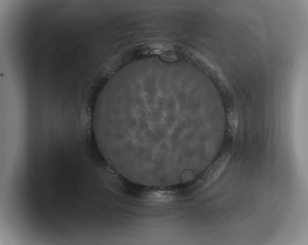 X0000102520657200808151534