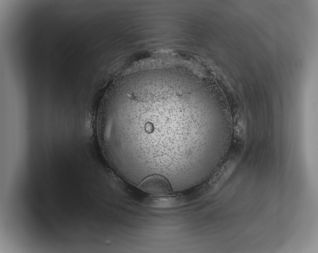 X0000102520658200808151534