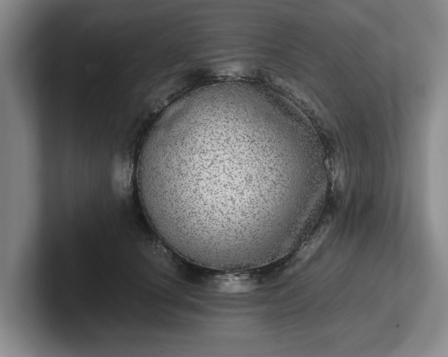 X0000102520660200808151534