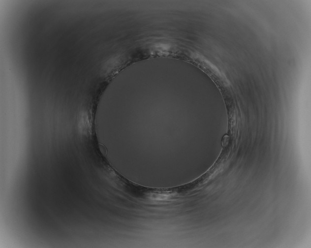 X0000102520661200808151534