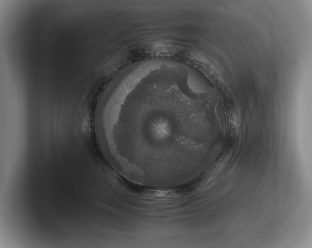 X0000102520663200808151534