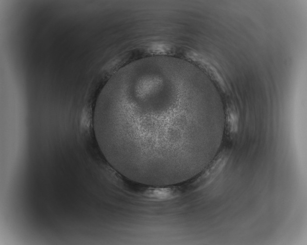 X0000102520665200808151534