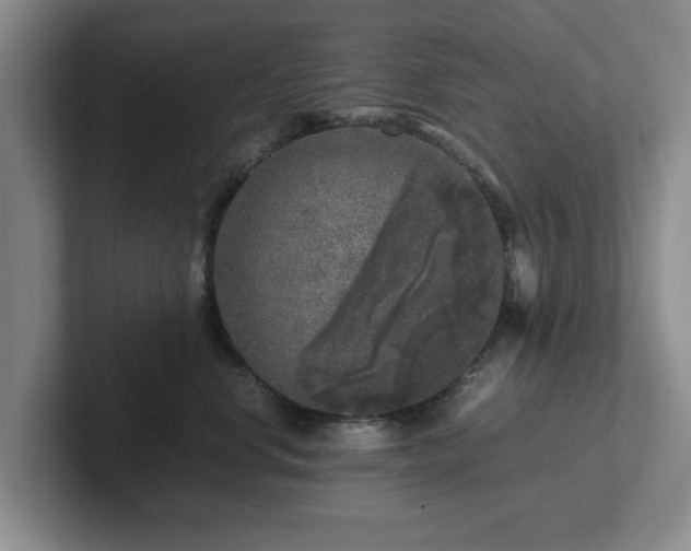 X0000102520668200808151534