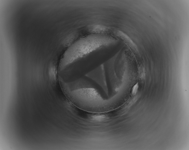 X0000102520669200808151534