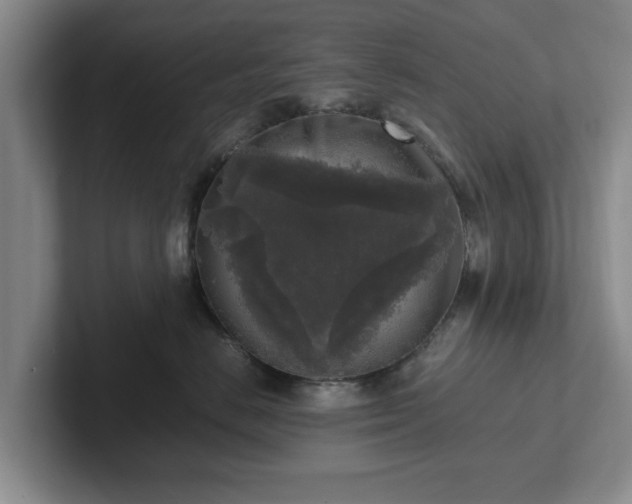 X0000102520670200808151534