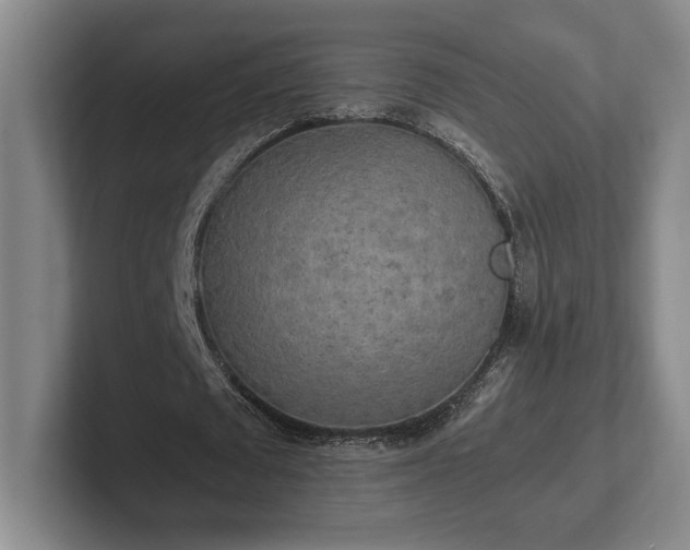 X0000102520673200808151534