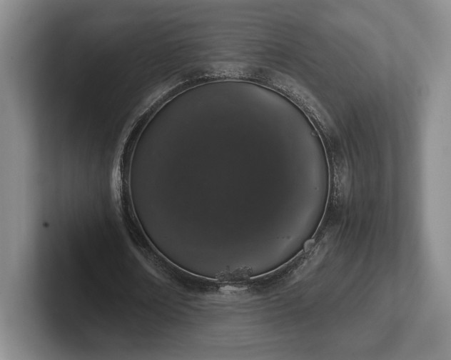 X0000102520674200808151534