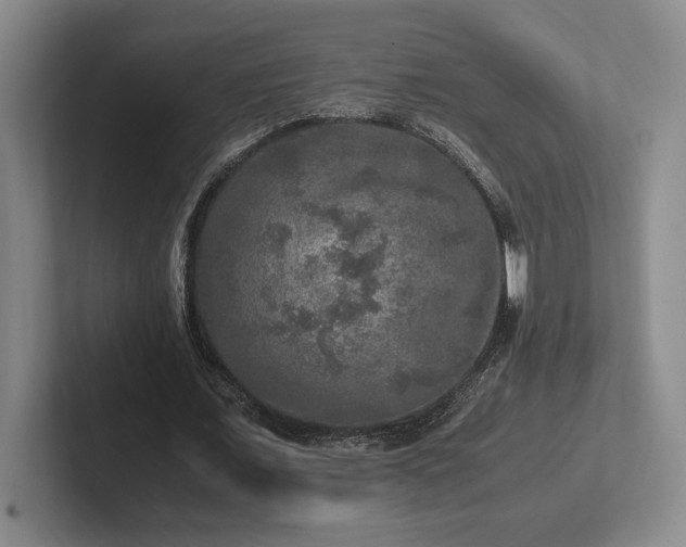 X0000102520675200808151534