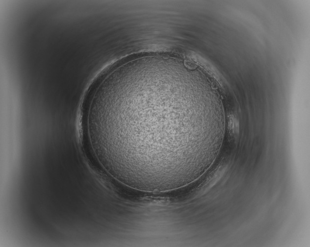 X0000102520676200808151534