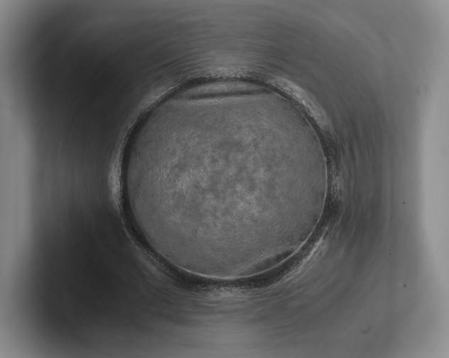 X0000102520677200808151534